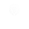 Zyllor